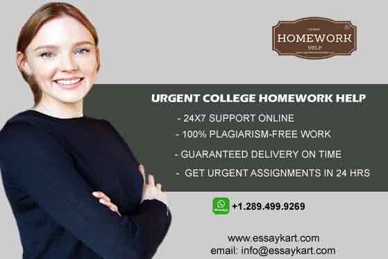Urgent College Homework Help