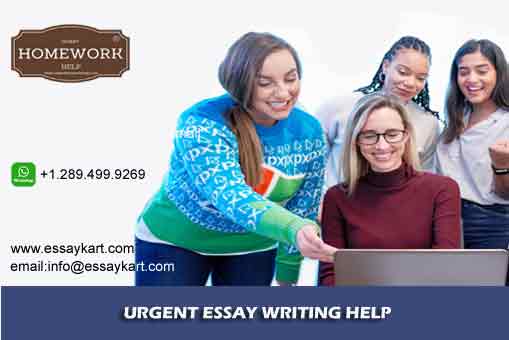 Urgent Essay Writing Help