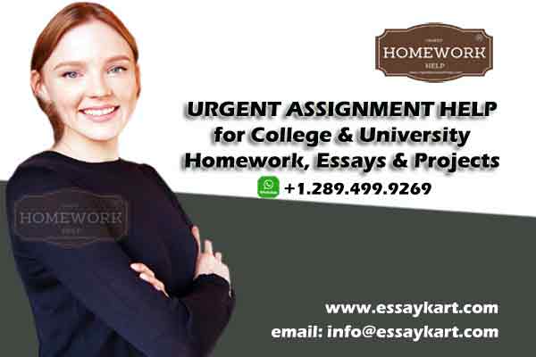 Urgent Assignment Help for College & University Homework, Essays & Projects